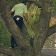 Illustration for article titled Sergio Garcia Just Climbed Into A Tree Like A Monkey And Hit A One-Handed, Backwards, No-Look Shot, And That Shit Really Worked